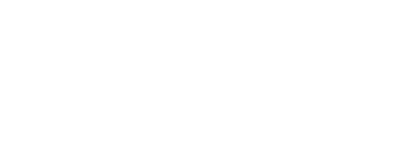 logo bianchi-02.png